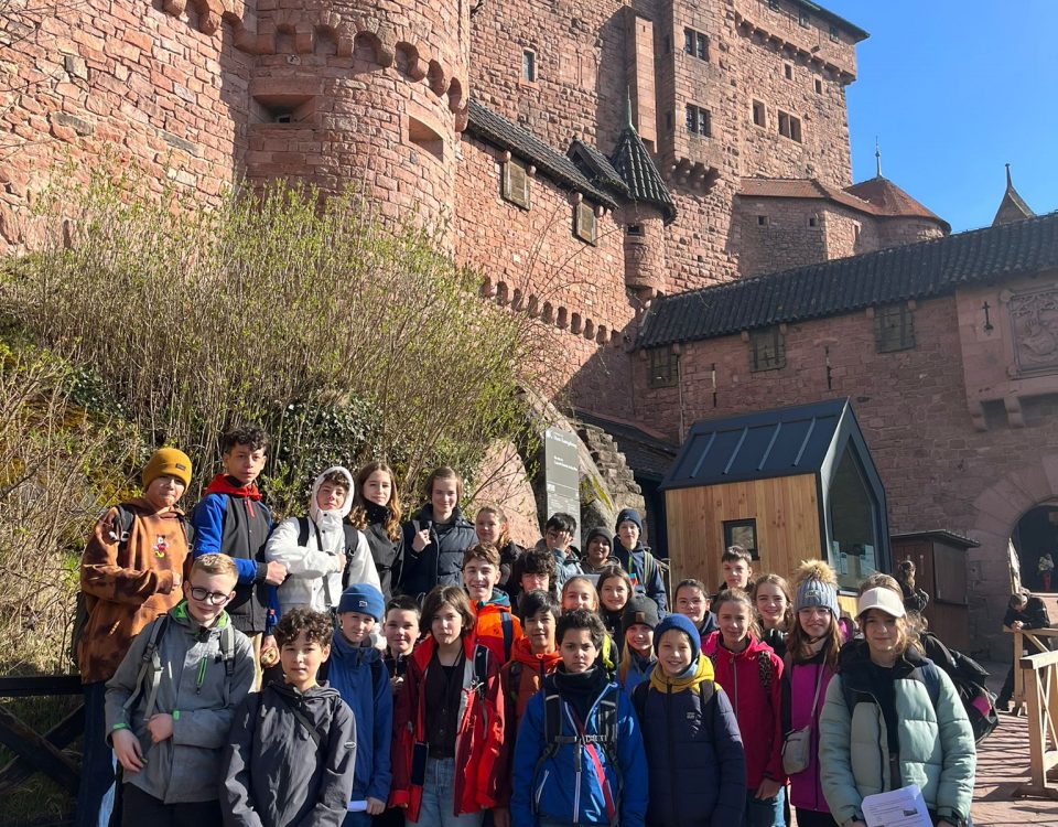 mehrere Schüler stehen vor einer Burg