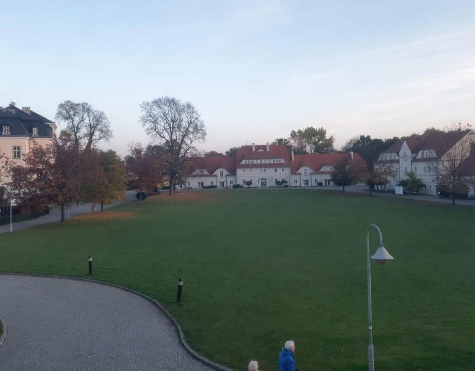 Eine Wiese umgeben von Gebäuden